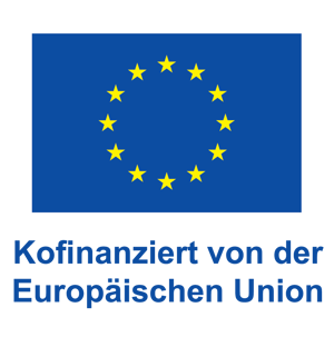 EU Logo